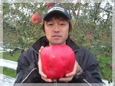 Buah apel terbesar di dunia ada di Hirosaki Jepang - Batu Event Guide